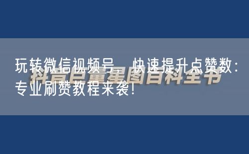 玩转微信视频号，快速提升点赞数：专业刷赞教程来袭！