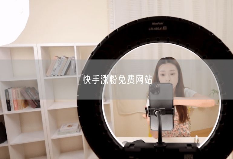 快手涨粉免费网站