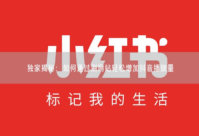 独家揭秘：如何通过刷网站轻松增加抖音播放量
